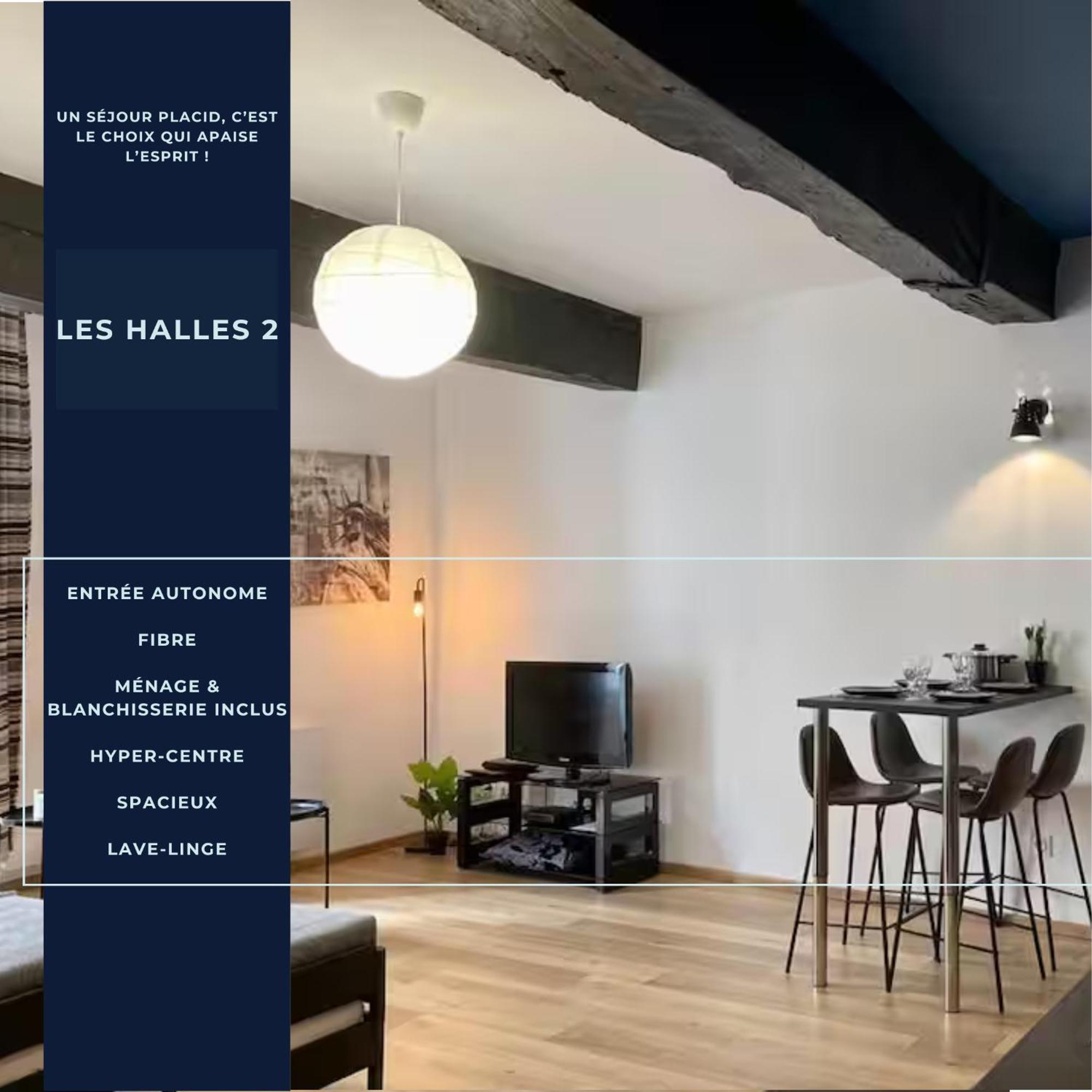 Les Halles 2 - Central - Lumineux - Spacieux - Fibre Мон-де-Марсан Экстерьер фото